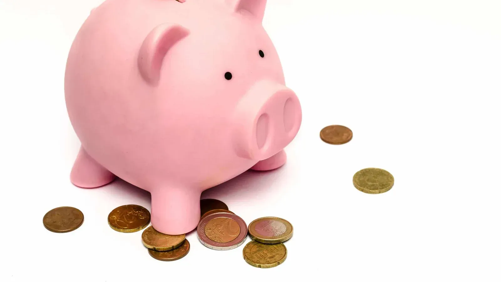 Which energy suppliers are going bust?