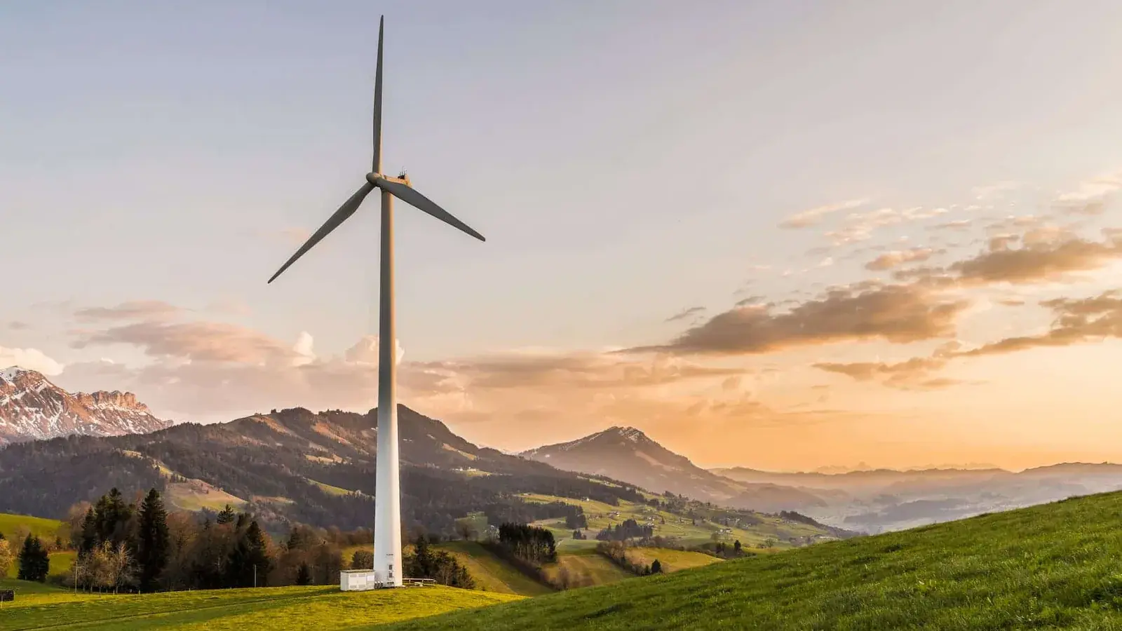 Who are the best green energy suppliers in the UK? (2026)