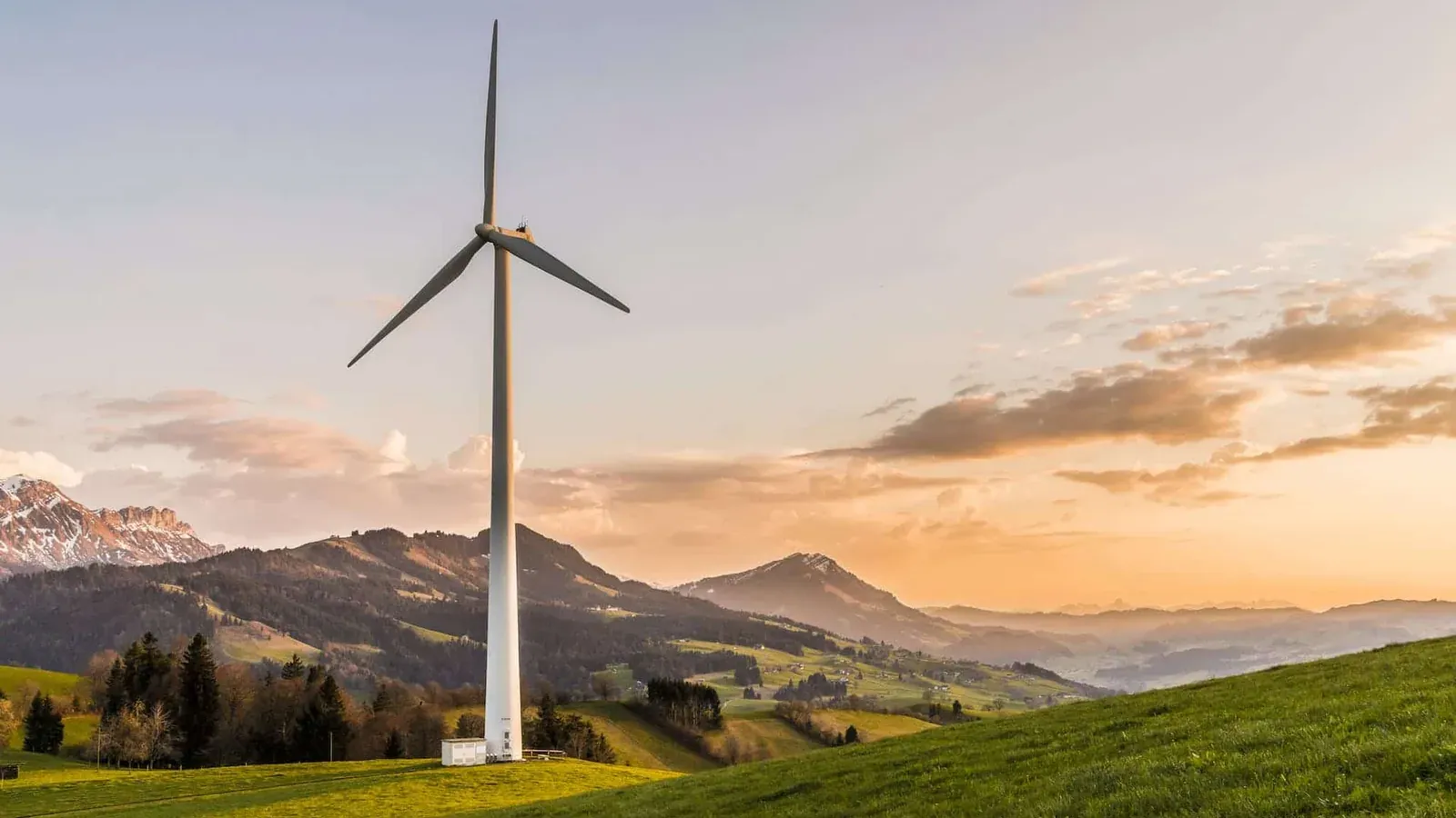 Who are the best green energy suppliers in the UK? (2026)