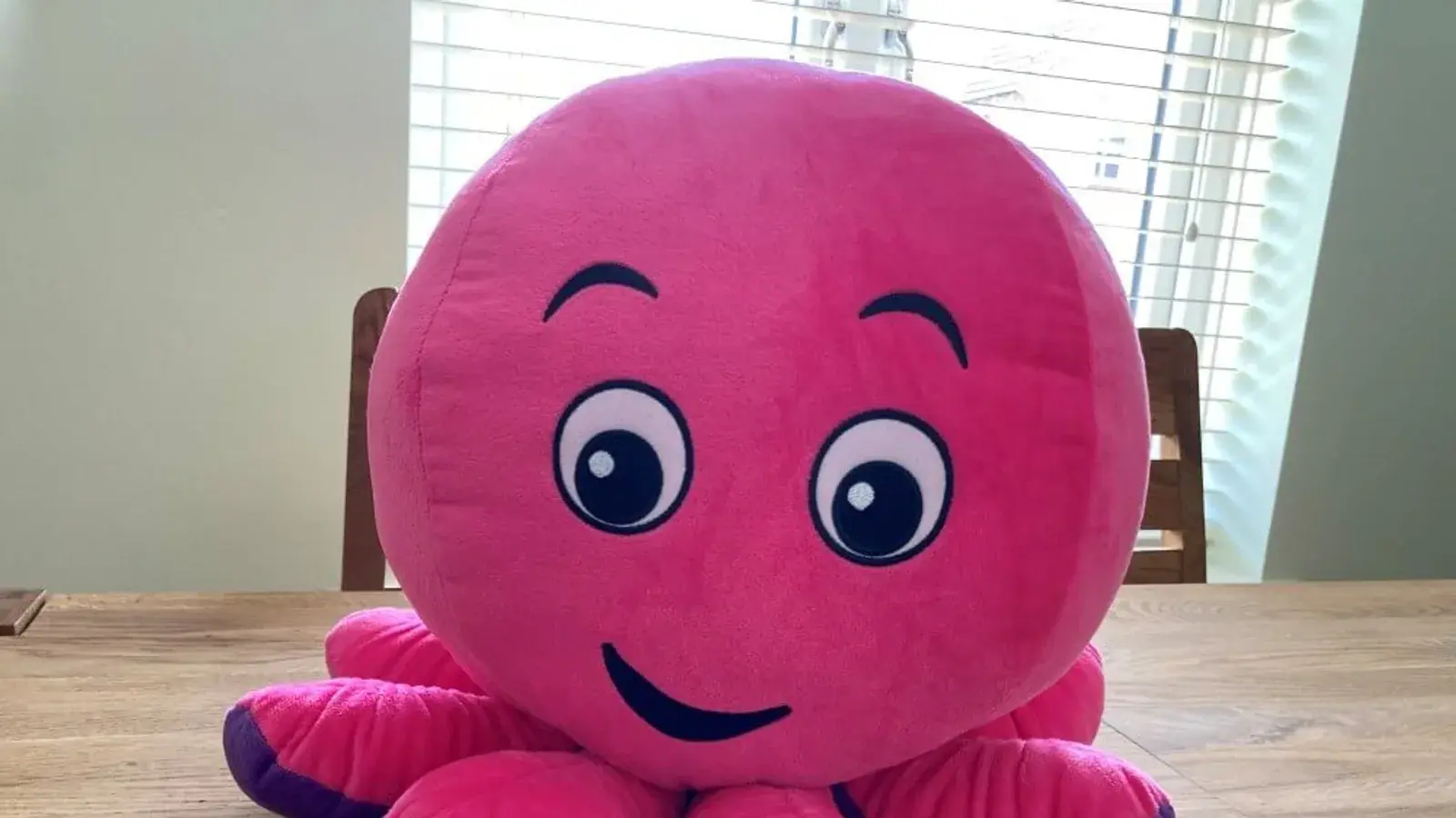 How to get a free Octopus Energy cuddly toy?