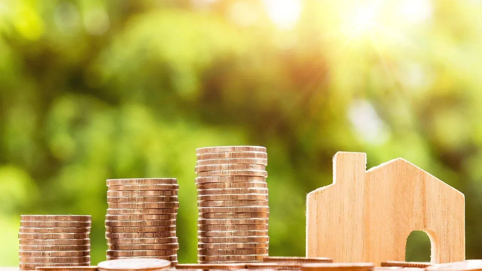 What is a Dual Fuel discount?